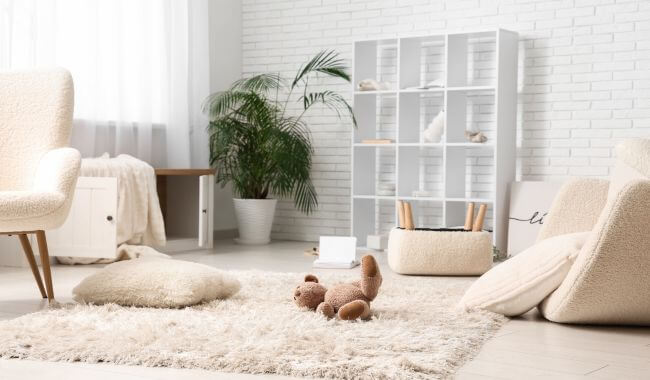 ניקוי שטיחים עם איסוף מהבית